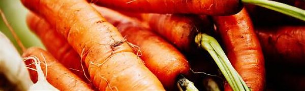 Продуктовая ярмарка развернётся в центре Владивостока 26 и 27 августа