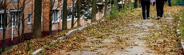 На следующей неделе Приморье вновь ощутит холодное дыхание осени