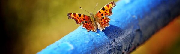 Теплая погода ожидает жителей Приморья во вторник