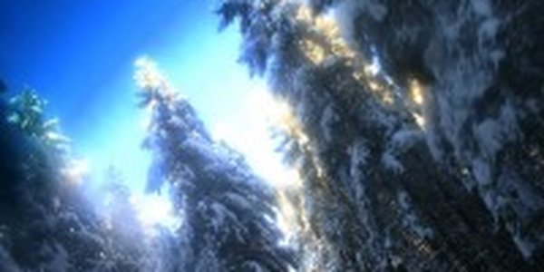 В минувшую ночь в Приморье было морозно