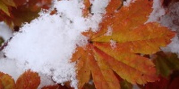 На прощанье осень подарила Приморью тепло