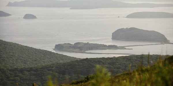Горожан приглашают в поход на остров Шкота