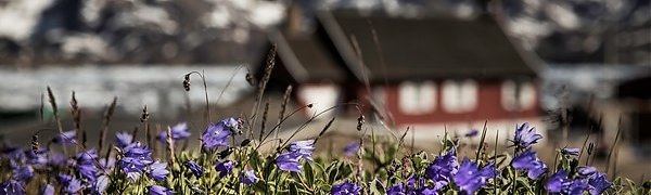 Март 2016 года стал самым тёплым за всю историю наблюдений