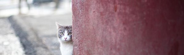 В выходные в Приморье придёт оттепель