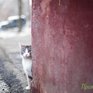 В выходные в Приморье придёт оттепель