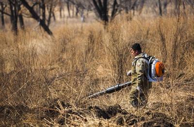 Особый противопожарный режим снят в Приморье Особый противопожарный режим снят в Приморье