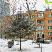 Примпогода дарит снег на 23 февраля!