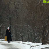 Примпогода дарит снег на 23 февраля!