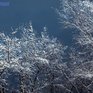 Ночью и утром в пятницу во Владивостоке ожидается мокрый снег