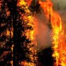 Крупные лесные пожары охватили Китай