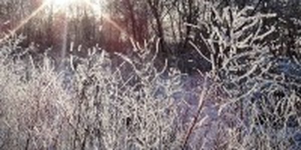 Выходные дни обещают быть теплыми