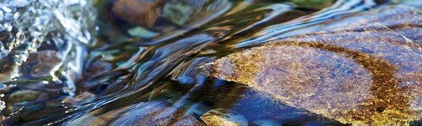 Из-за дождей в Приморье возможен разлив ручьёв и мелких водотоков