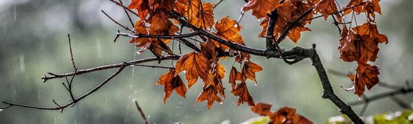 В Приморье идут дожди, местами сильные, ожидается штормовой ветер