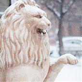 В воскресенье во Владивостоке вероятен небольшой снег