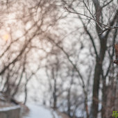 В Приморье местами идет небольшой снег