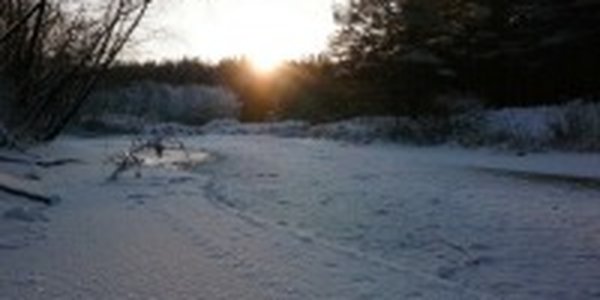 Первая декада марта в Приморье выдалась холодной