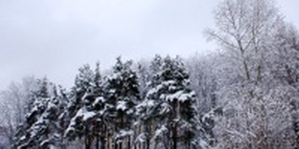Осадки пройдут сегодня в Приморье