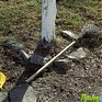 В Парке Минного городка состоится экологический субботник