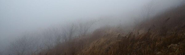 Переменчивая погода ожидает жителей Приморья