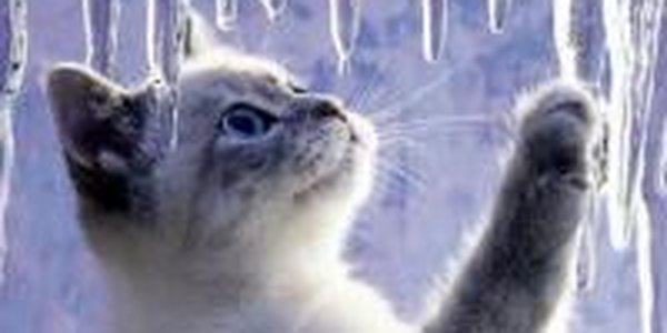 Брянск проводит конкурс среди сосулек