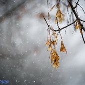 Во второй половине дня в Приморье ожидается усиление осадков