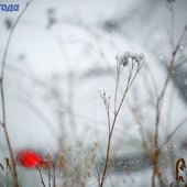 Во второй половине дня в Приморье ожидается усиление осадков