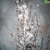 Во второй половине дня в Приморье ожидается усиление осадков