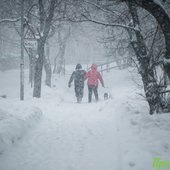 Во второй половине дня в Приморье ожидается усиление осадков