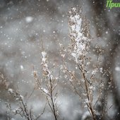 Во второй половине дня в Приморье ожидается усиление осадков