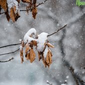 Во второй половине дня в Приморье ожидается усиление осадков