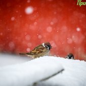 Во второй половине дня в Приморье ожидается усиление осадков