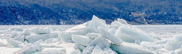 Мороз и солнце: похолодание придет в Приморье на выходных