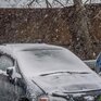 Февраль в Приморье начнется с нового снежного циклона
