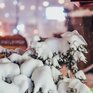 Больше всего снега выпало в Лазовском районе