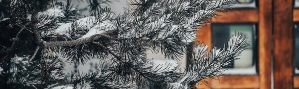 Осадки охватят практически всю территорию Приморья днем 26 января