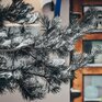 Осадки охватят практически всю территорию Приморья днем 26 января