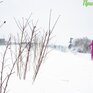 Новый циклон принесет на юг Приморья снег и сильное похолодание в конце рабочей недели 