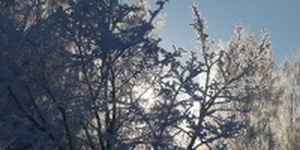 Холода задержатся в крае на выходные