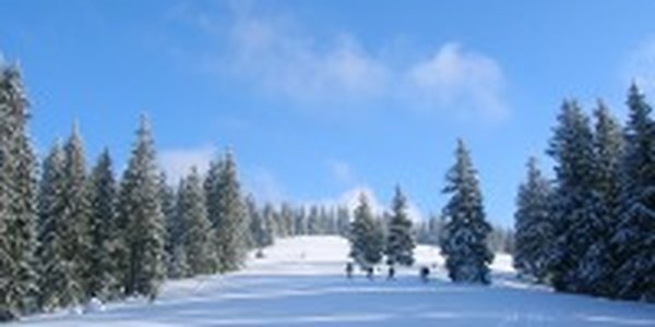 Морозы не отпускают Приморье