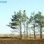 Первый снег(ФОТО)
