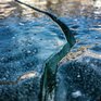 На водоёмах Приморья началось разрушение льда