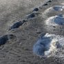 «Черный снег» выпал в Риге