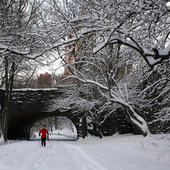 Cнежные бури в США(ФОТО)