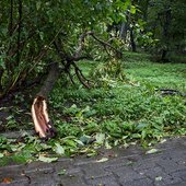 В первые дни сентября дожди в Приморье пойдут на убыль
