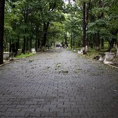 В первые дни сентября дожди в Приморье пойдут на убыль