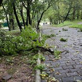 В первые дни сентября дожди в Приморье пойдут на убыль