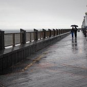 В первые дни сентября дожди в Приморье пойдут на убыль