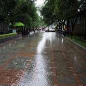В первые дни сентября дожди в Приморье пойдут на убыль