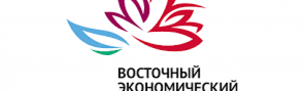 Погода для Восточного экономического форума-2016