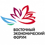 Погода для Восточного экономического форума-2016